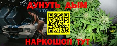 винт Бердск