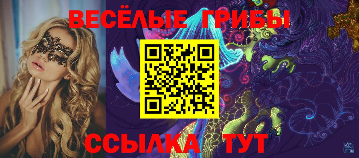 Галлюциногенные грибы мицелий  Вход с VPN  Зерноград 